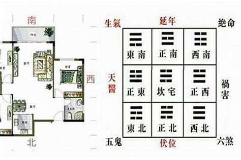 大门左青龙|住宅风水教程